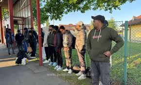 Migranţi, găsiţi ascunşi în porumb