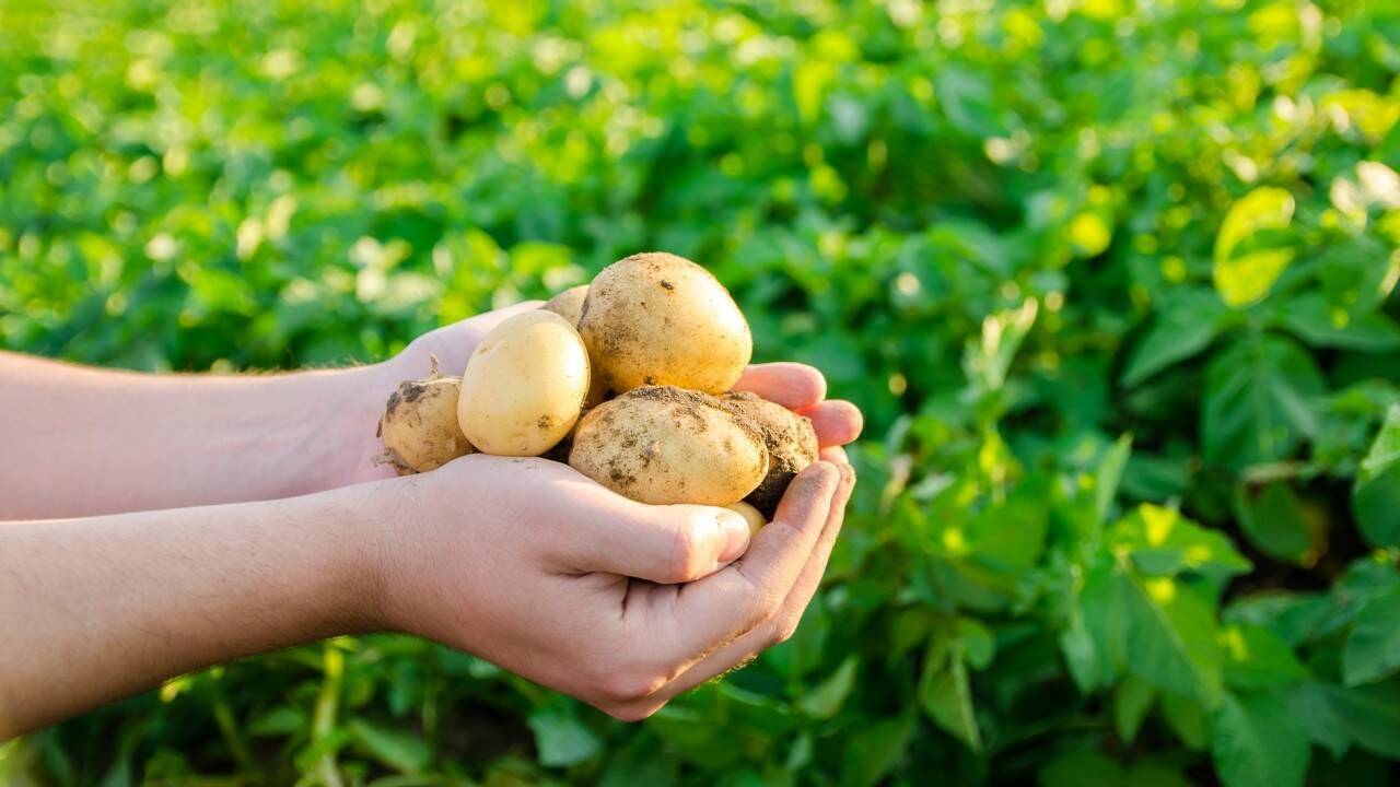 A murit cineva de la post?