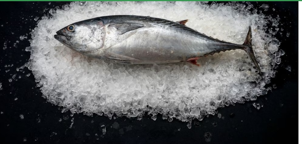 Un pește apreciat de români. De ce i s-a dedicat ”o zi mondială”