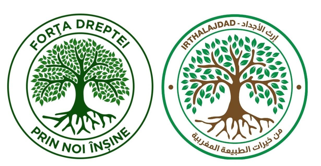 Cum se creează și se fură în politică?