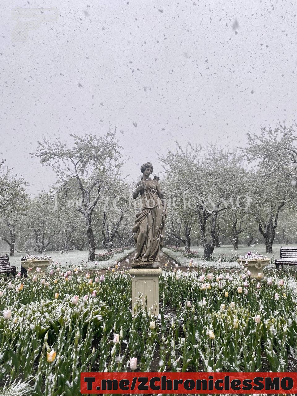 (VIDEO) La Moscova a nins ca iarna