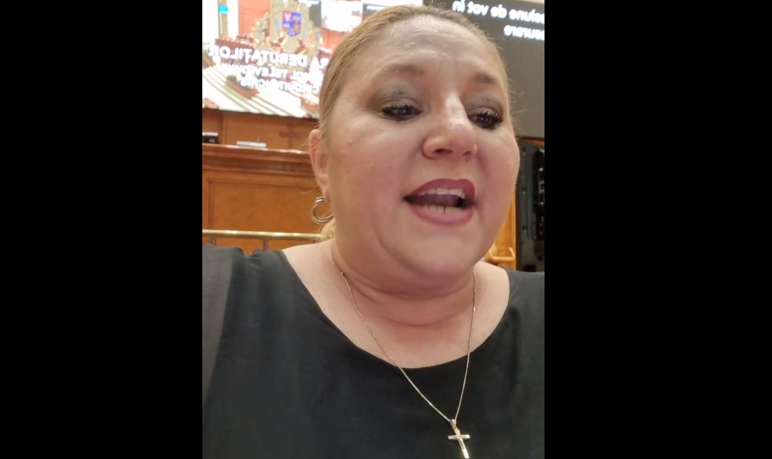 Șoșoacă, la CCR. „Așa se face mă, se intră peste ei!“