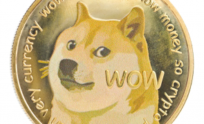 A murit ”cel mai fericit câine din lume”. Cine nu-l cunoaște?