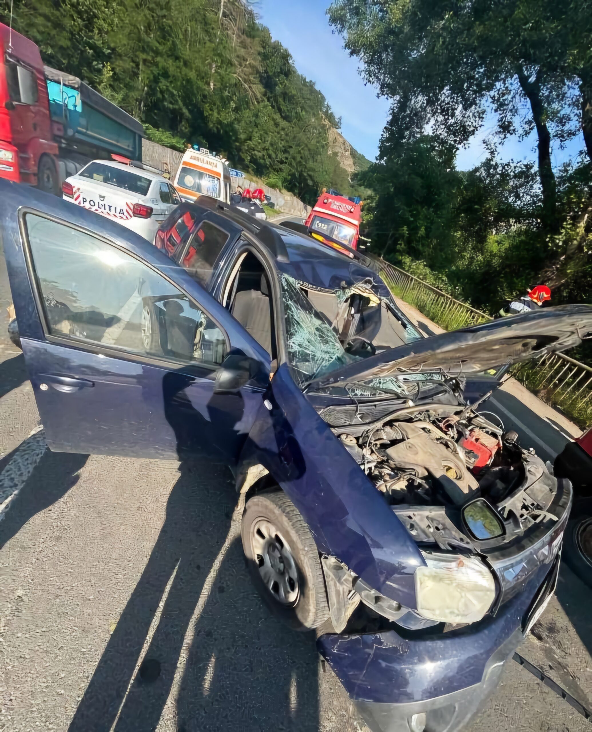 Politician strivit în maşină de un bolovan