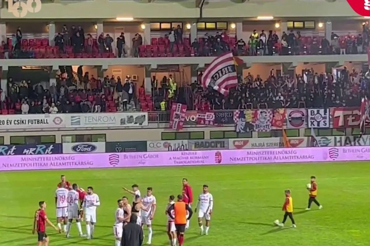 Câinii, huiduiți de propriii fani