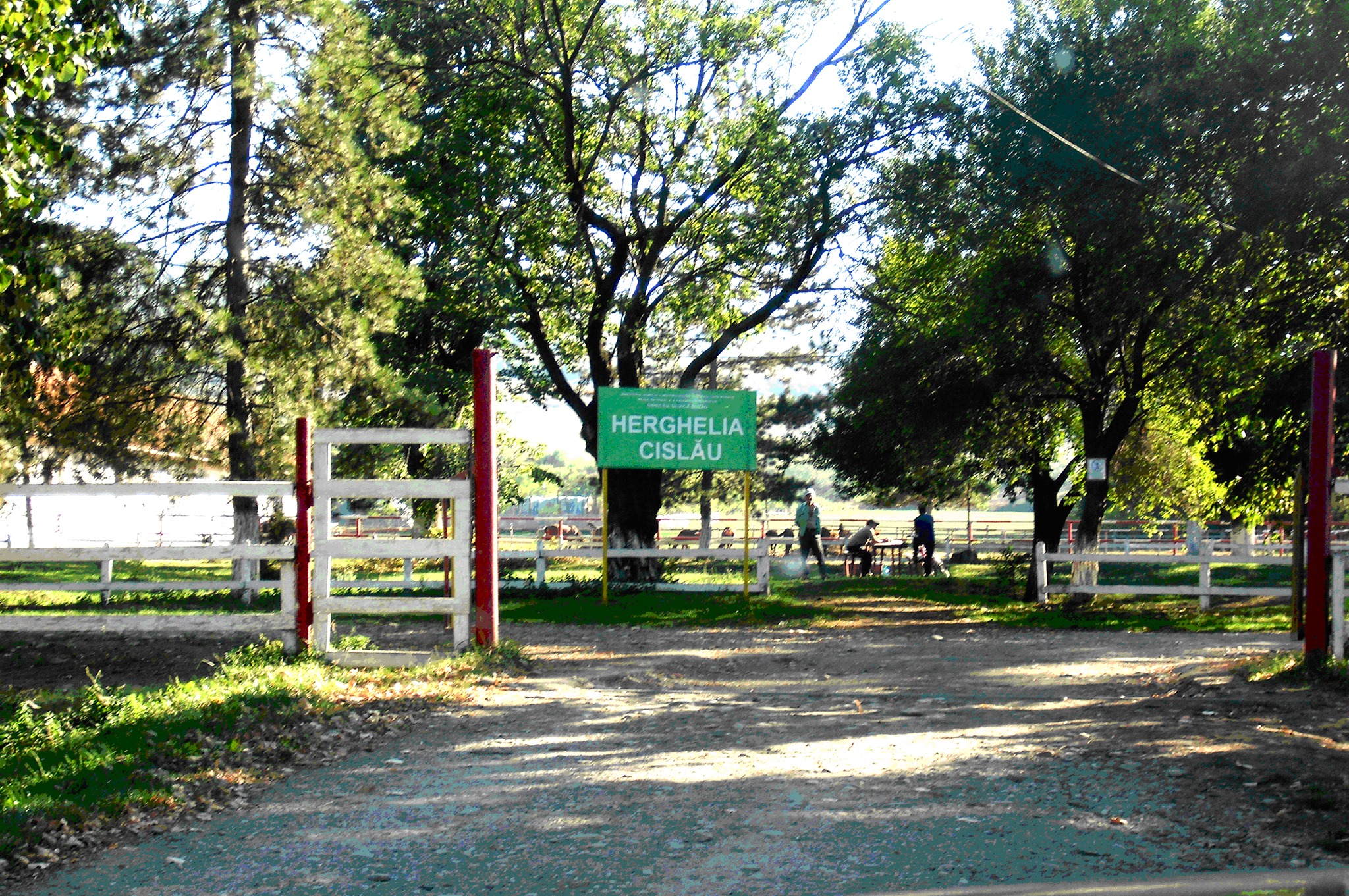 Pe „Drumul Doamnei Neaga”