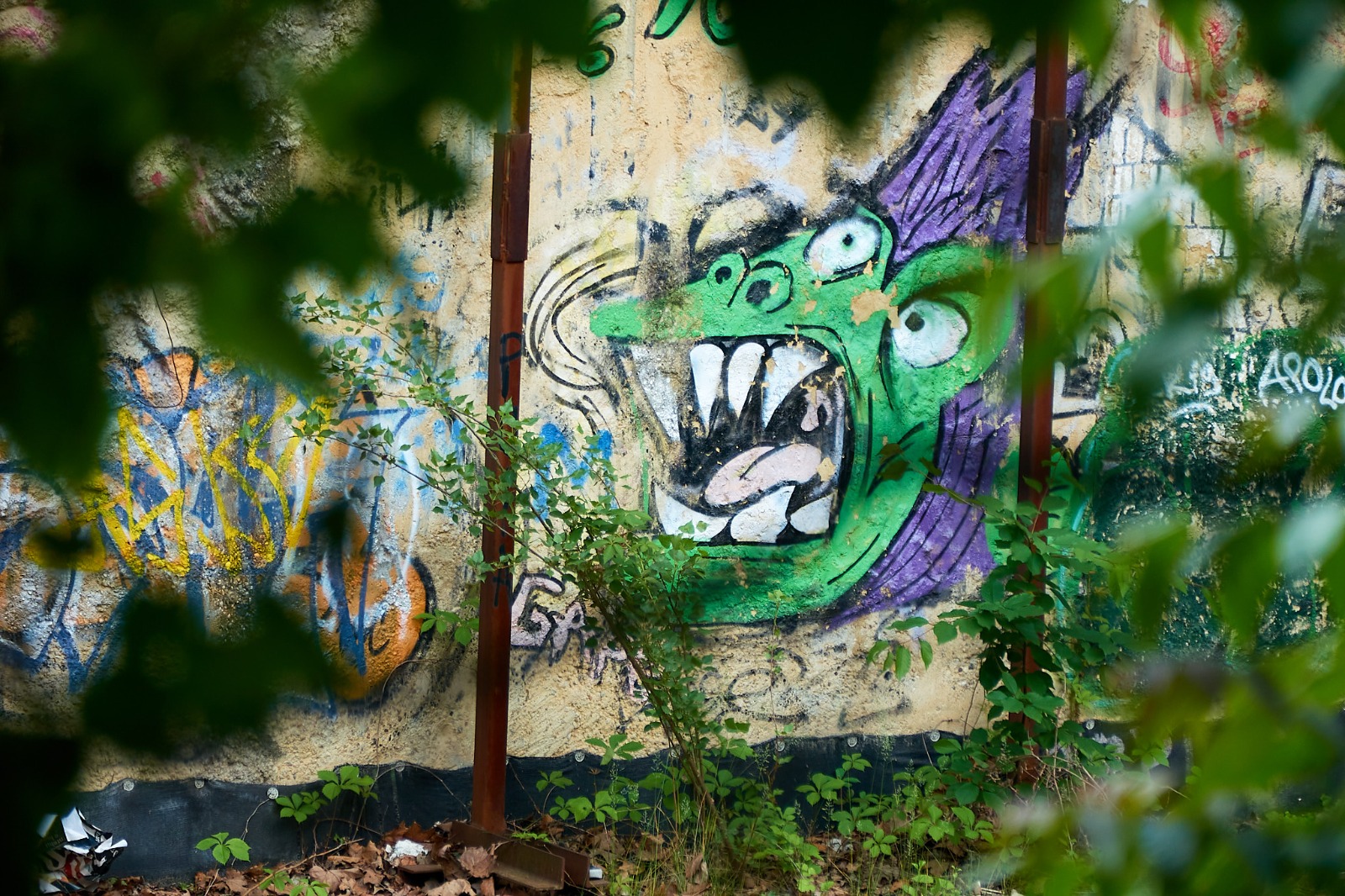 Civilizație și nepăsare în București (fotoreportaj)