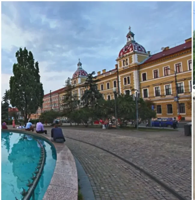 „Ofertă” ieșită din tipare, pe stâlpi, în Cluj-Napoca