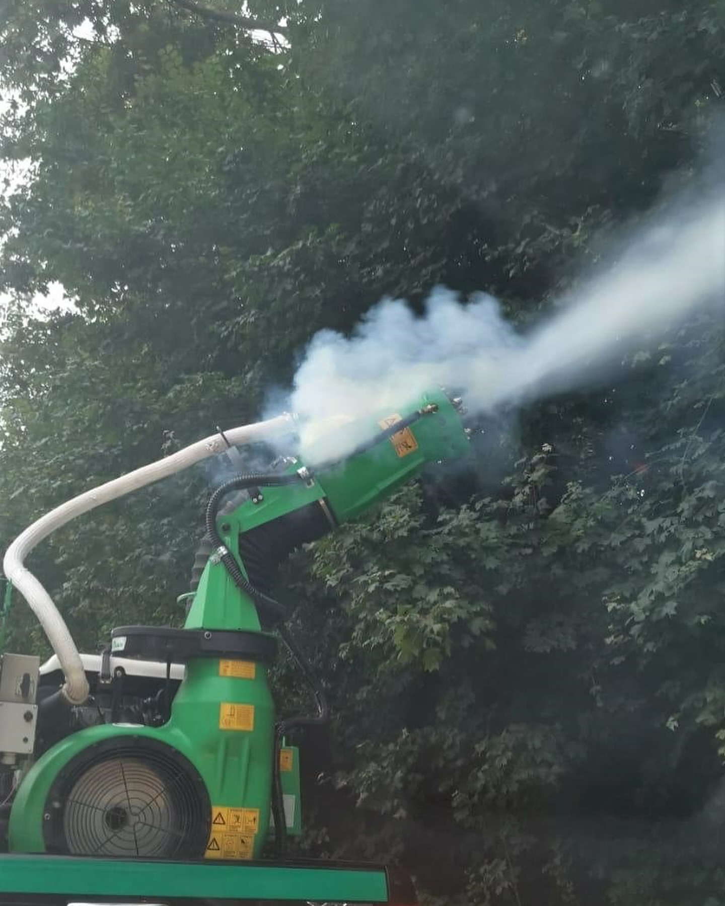 Dezinsecţie în Capitală