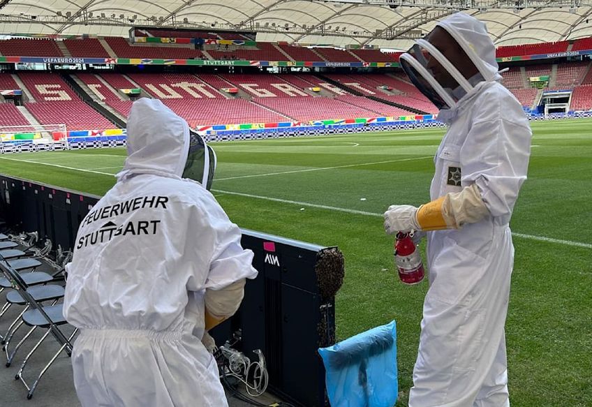 CE fotbal: Albinele au luat cu asalt un stadion