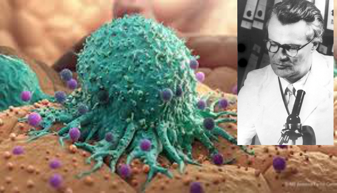 Arnold Graffi, bistrițeanul pionier al cercetării experimentale a cancerului