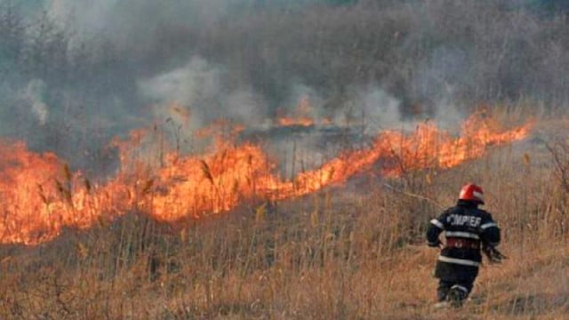Aproape 50 de hectare de vegetație au luat foc