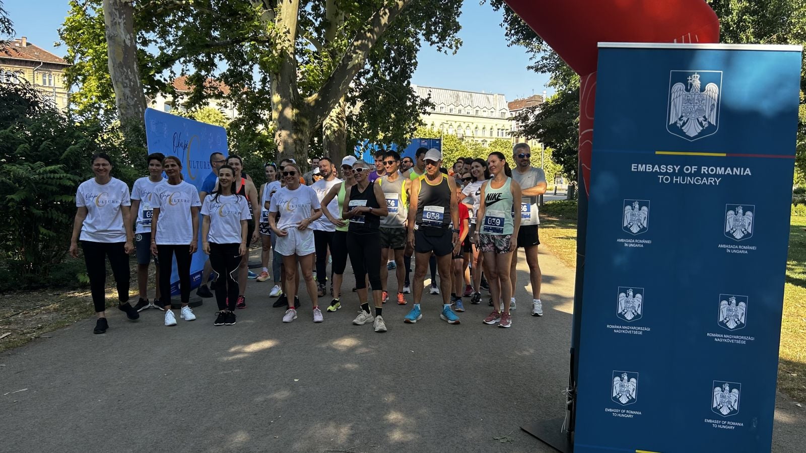 Sportive de legendă din România, sărbătorite la Budapesta 