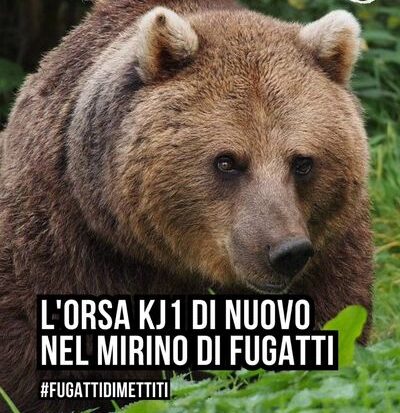 ”Judecat” în Italia, ar putea ajunge în România