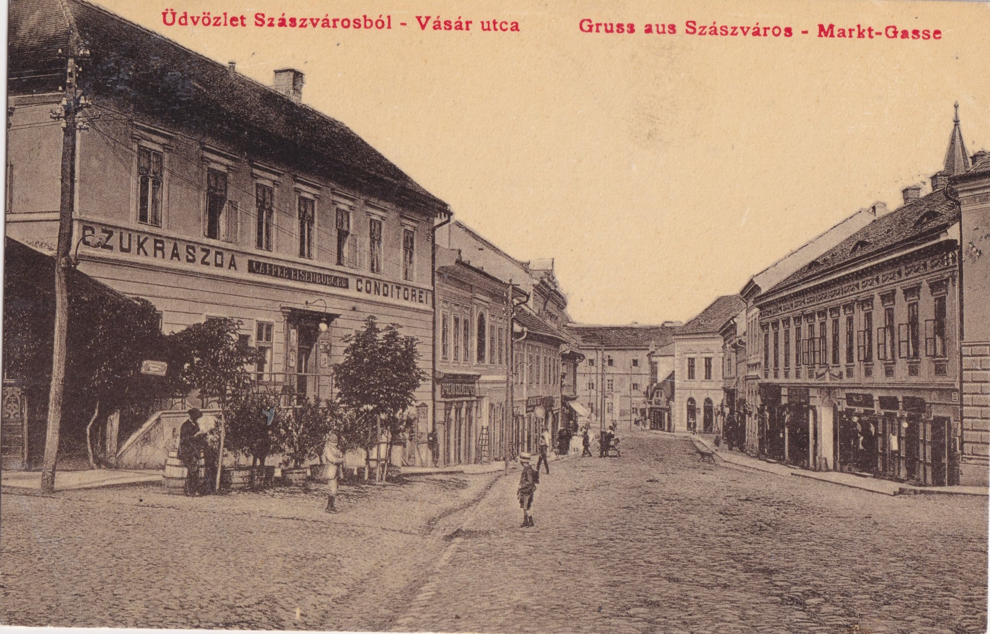 Petru Groza – Amintiri din timpul Colegiului