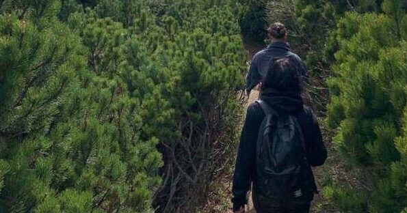 S-a rupt firul poveștii cu tânăra ucisă de urs