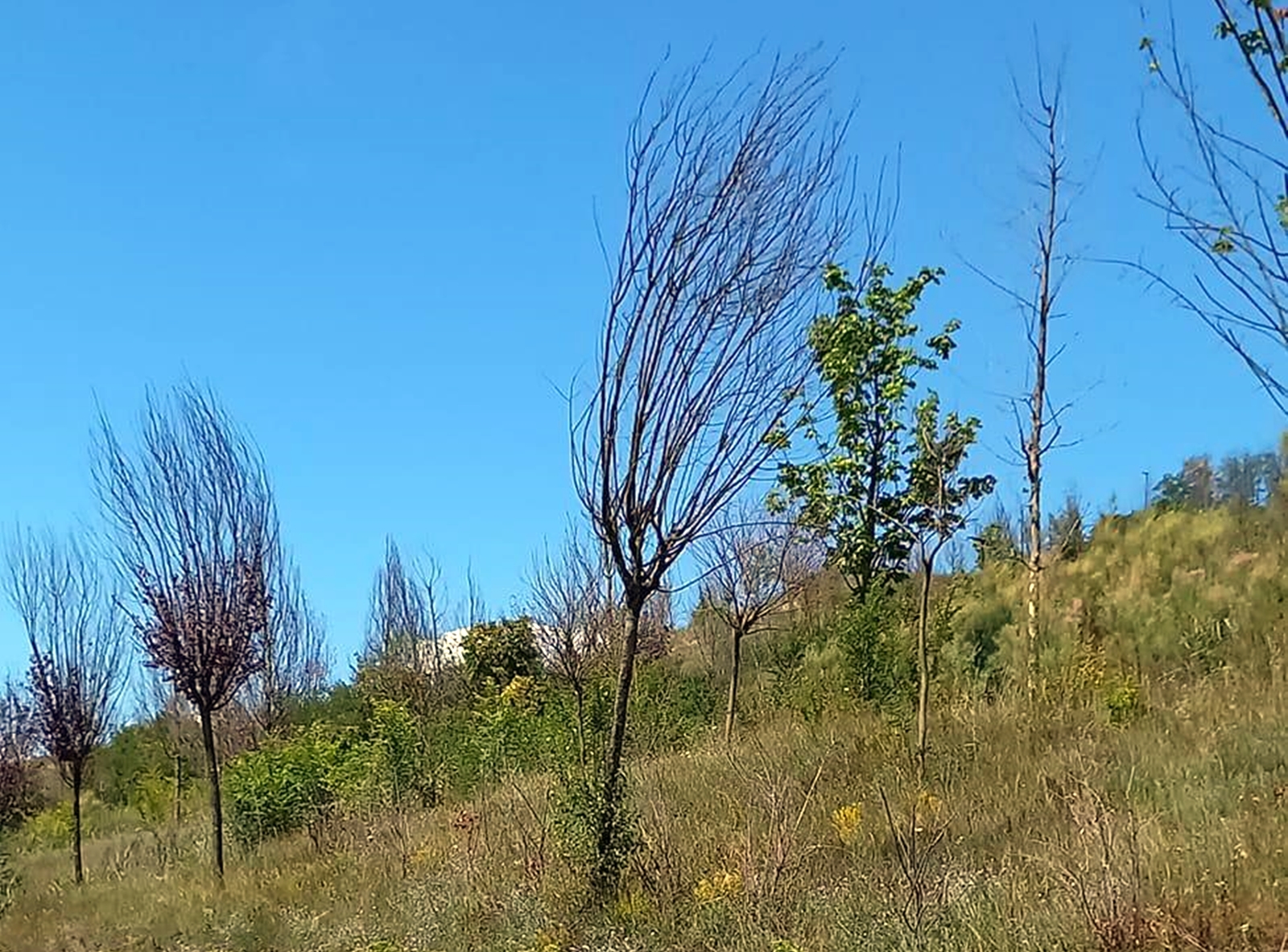 La Cluj-Napoca. Au investit milioane de euro și le-au lăsat de izbeliște