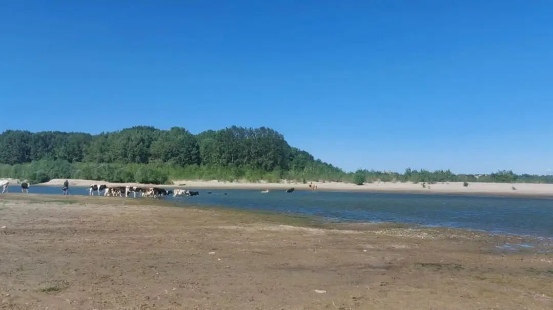 Alertă pe Dunăre din cauza secetei