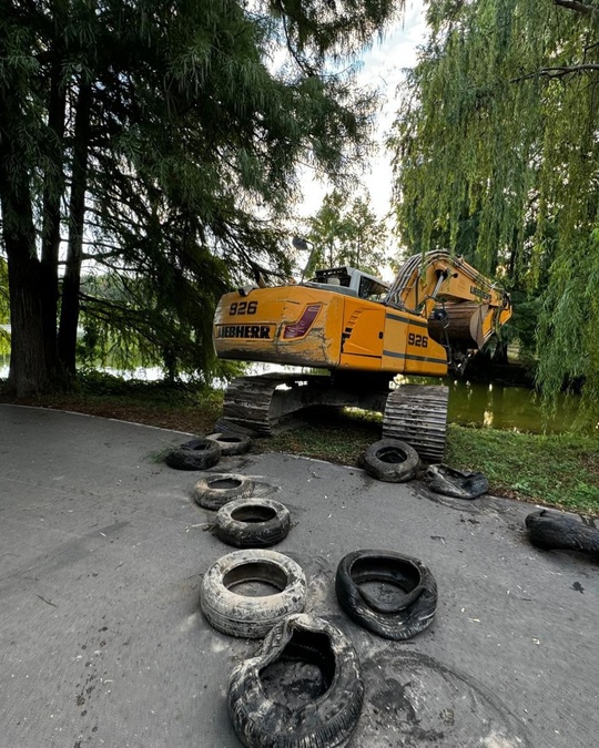 Ceva de speriat în Lacul Tineretului din Bucureşti