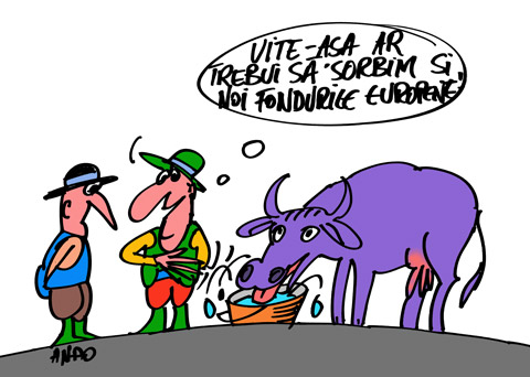 Principiul de absorbție