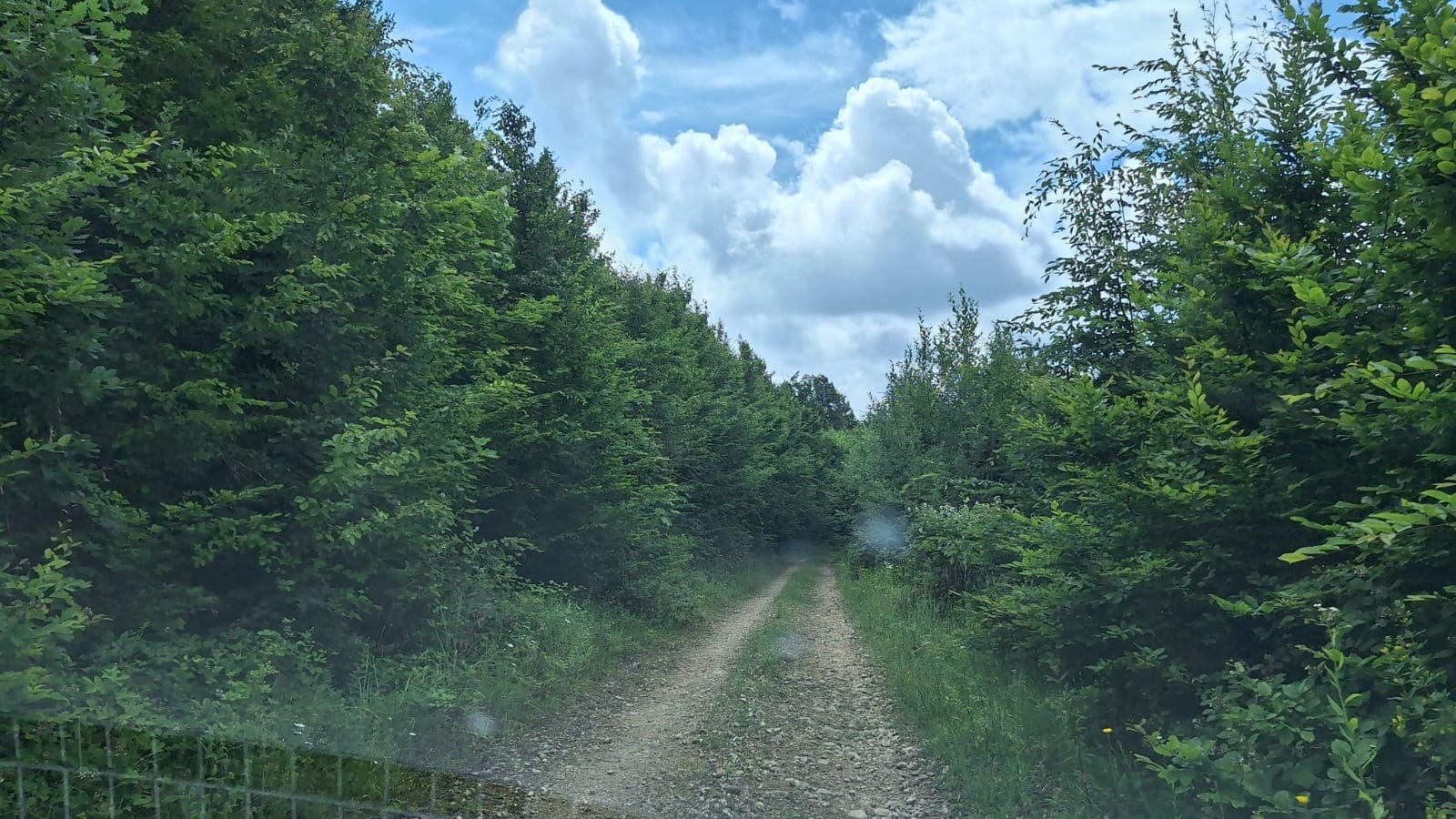 “Drumul Regelui” a unit două judeţe