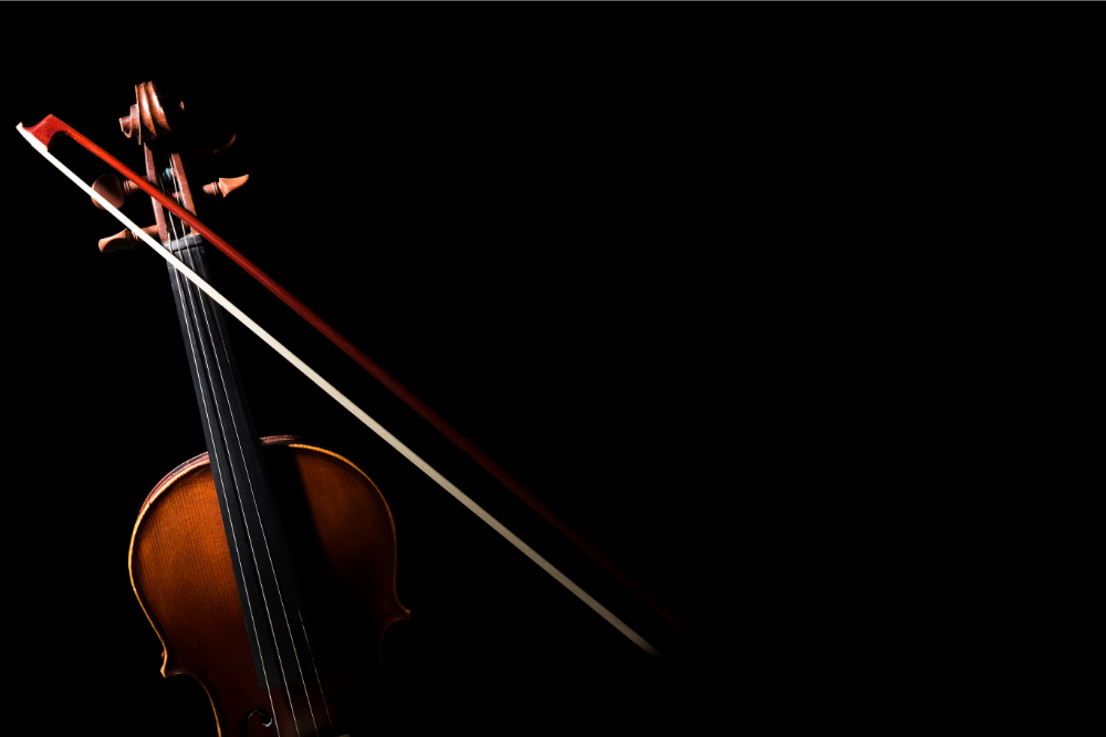 Cum poți alege vioara potrivită în funcție de nivelul tău de experiență?