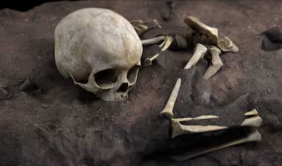 Sute de schelete umane, pe locul unui viitor spital