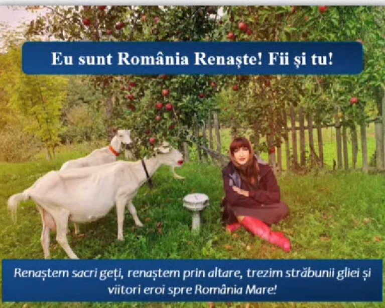 Gașca și trădătorul