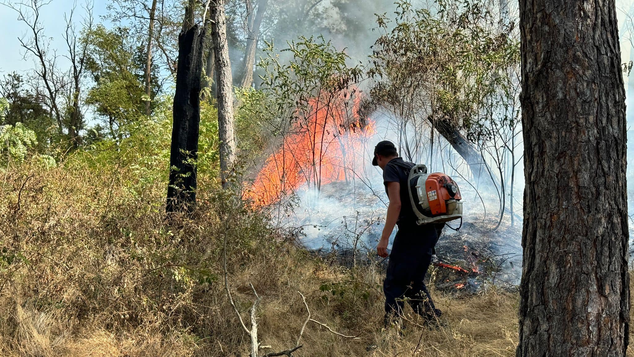 Incendii și la noi ca la greci