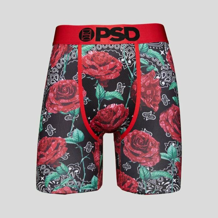 Studiourile ”Șatra PSD Iași”prezintă: ”Cum să bulești garantat alegerile”(ghid practic)