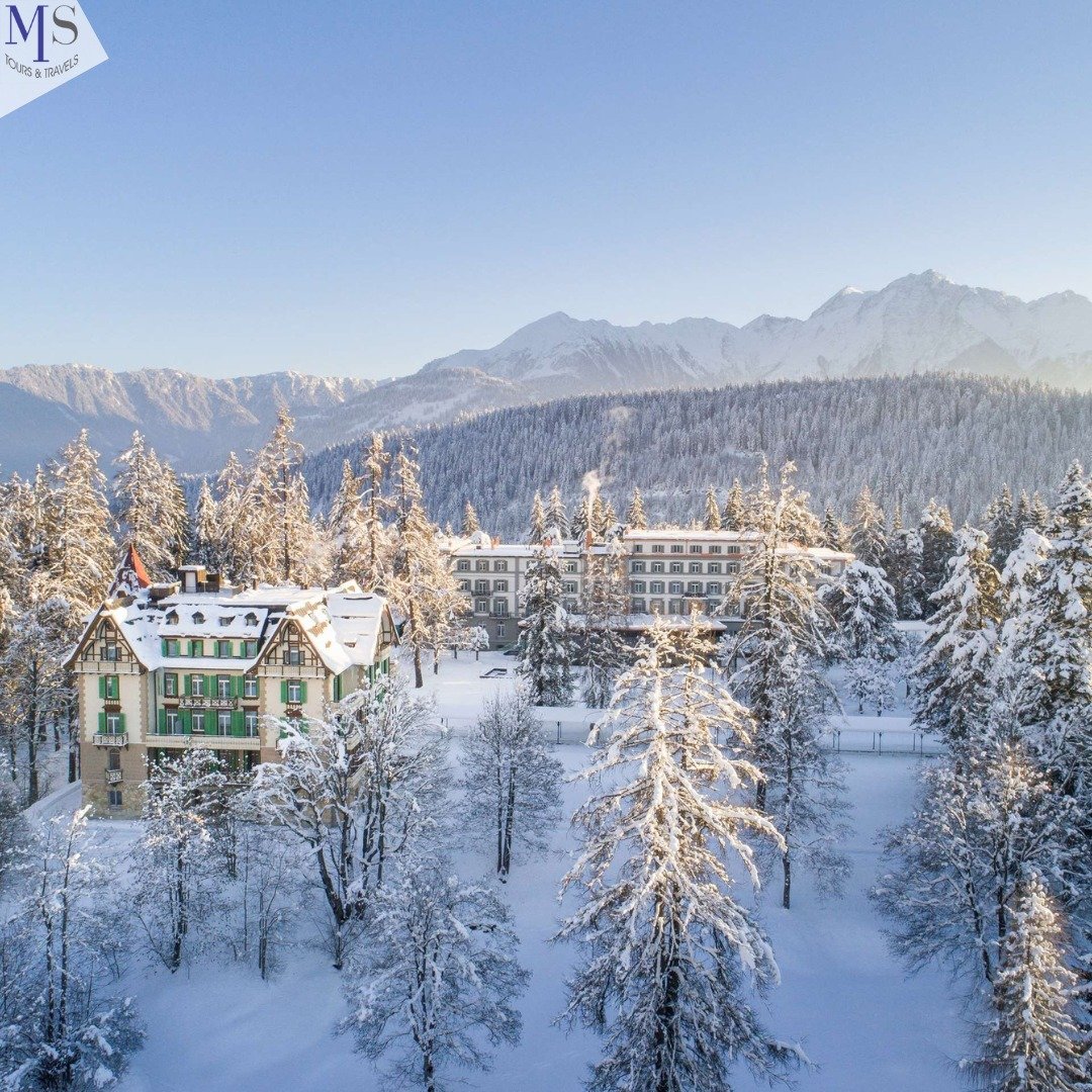 Ce fac „frații Dedeman” după ce au cumpărat hoteluri în Italia și Elveția