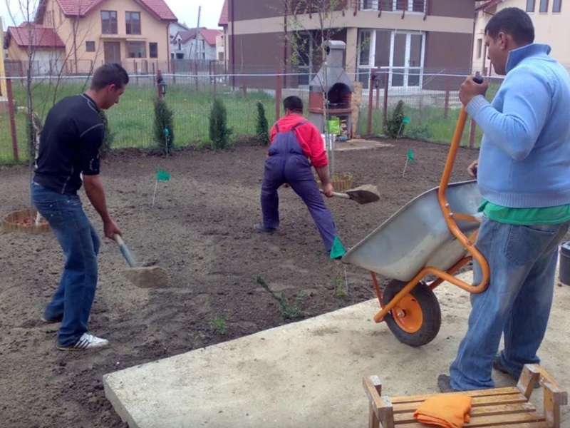 Întreținerea grădinii pe tot parcursul anului