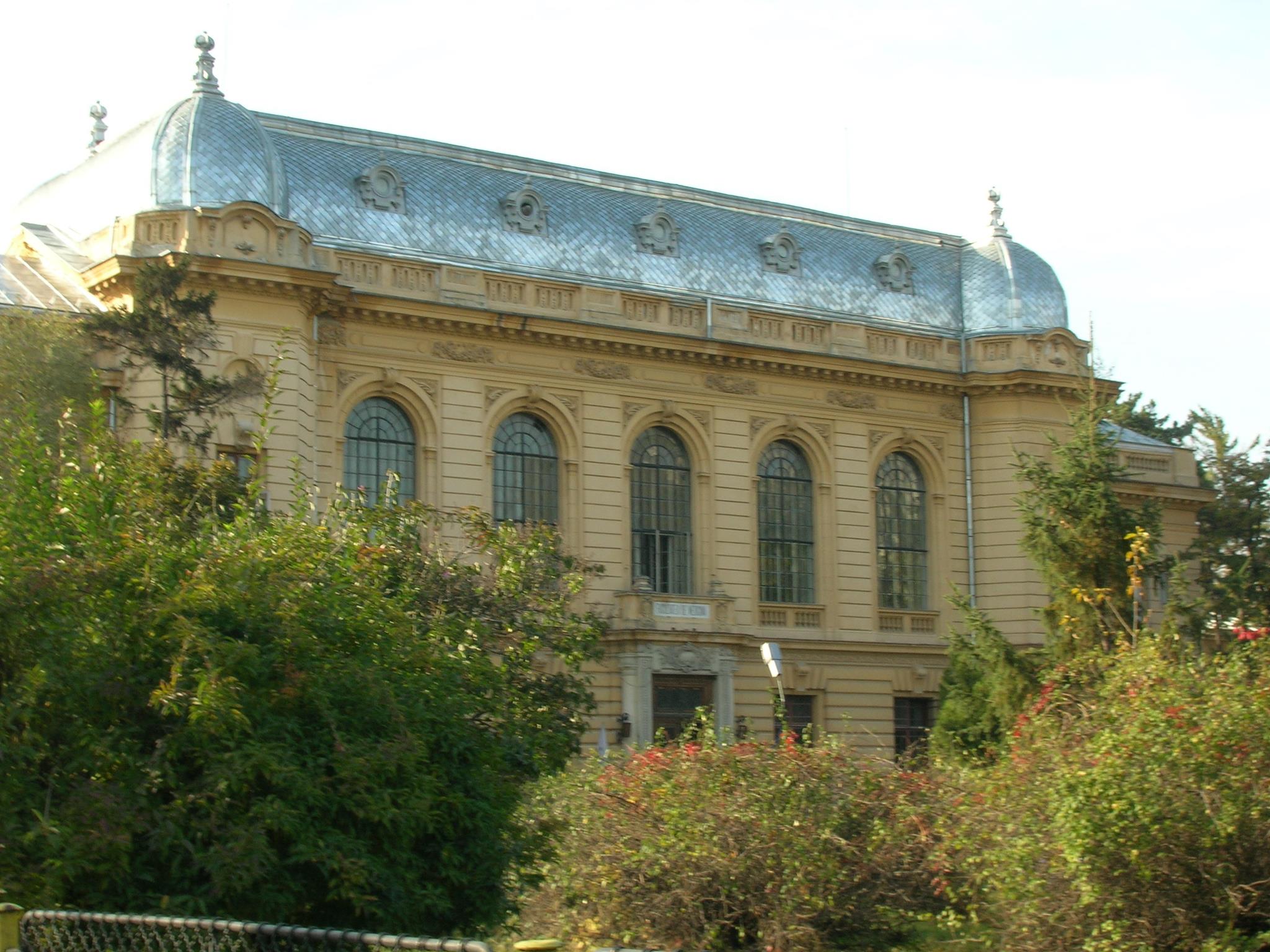 Tragedie la UMF București