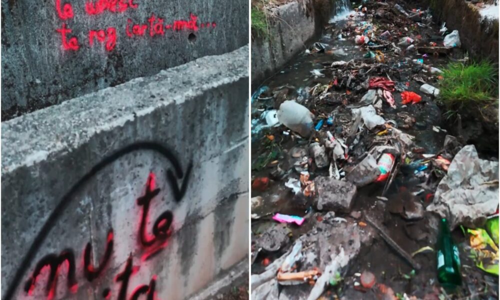 Vrea să limpezească apele prin artă (VIDEO)