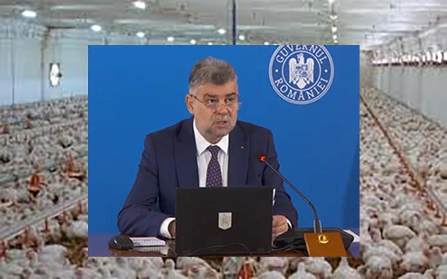 Ciolacu va rămâne în istorie „groparul fermelor AVICOLA”