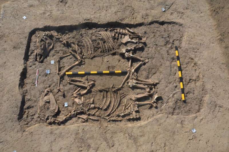 Descoperirea de la Sfântu Gheorghe. Şi atunci a urmat surpriza