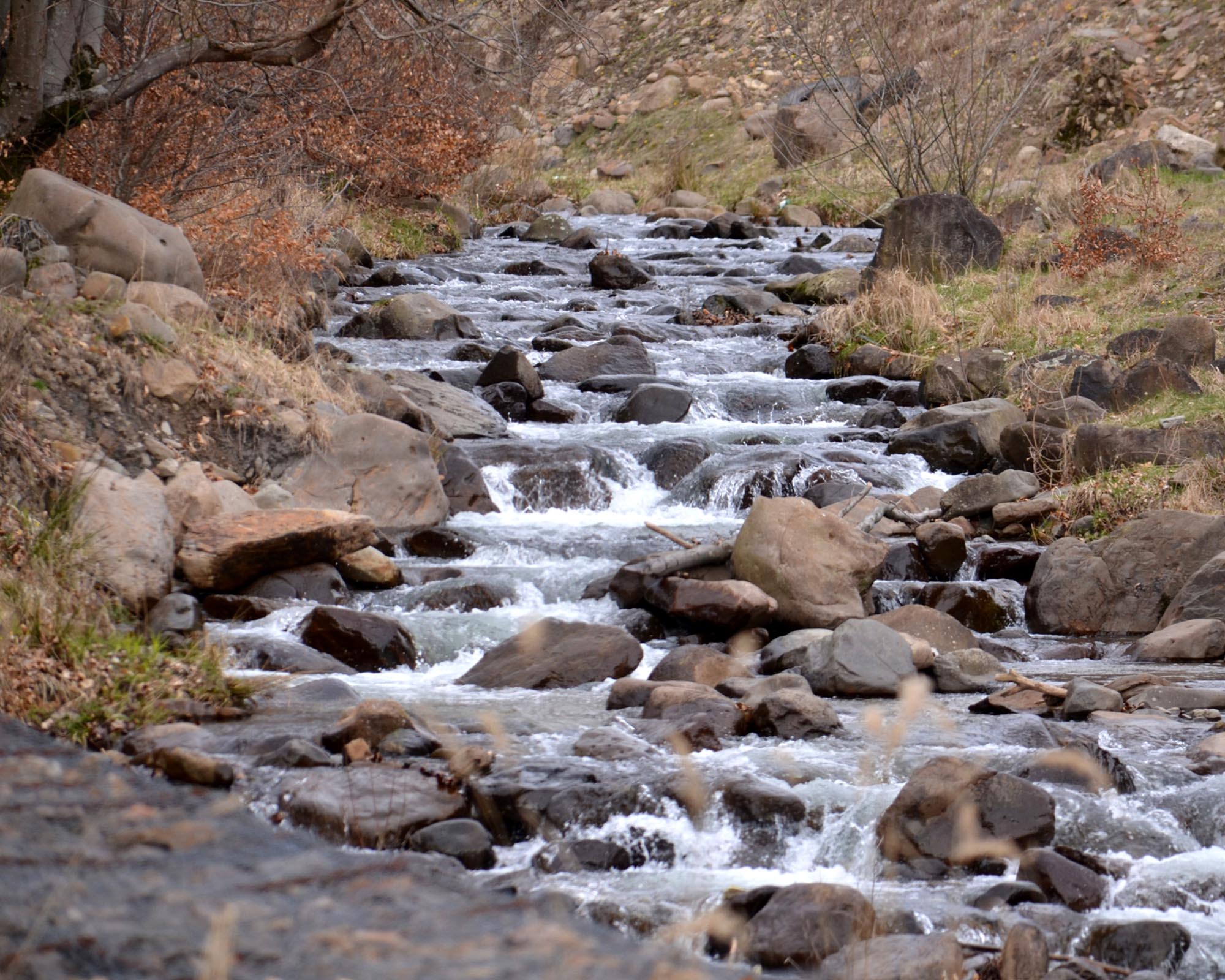 ”Dacă îndepărtăm stâncile…”