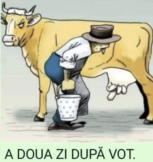 Umor. A doua zi după vot