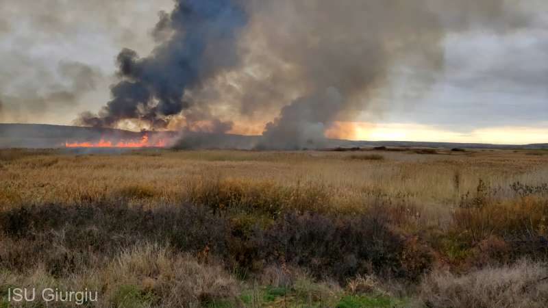 (VIDEO) Incendiu cu multiple focare în Delta Neajlovului
