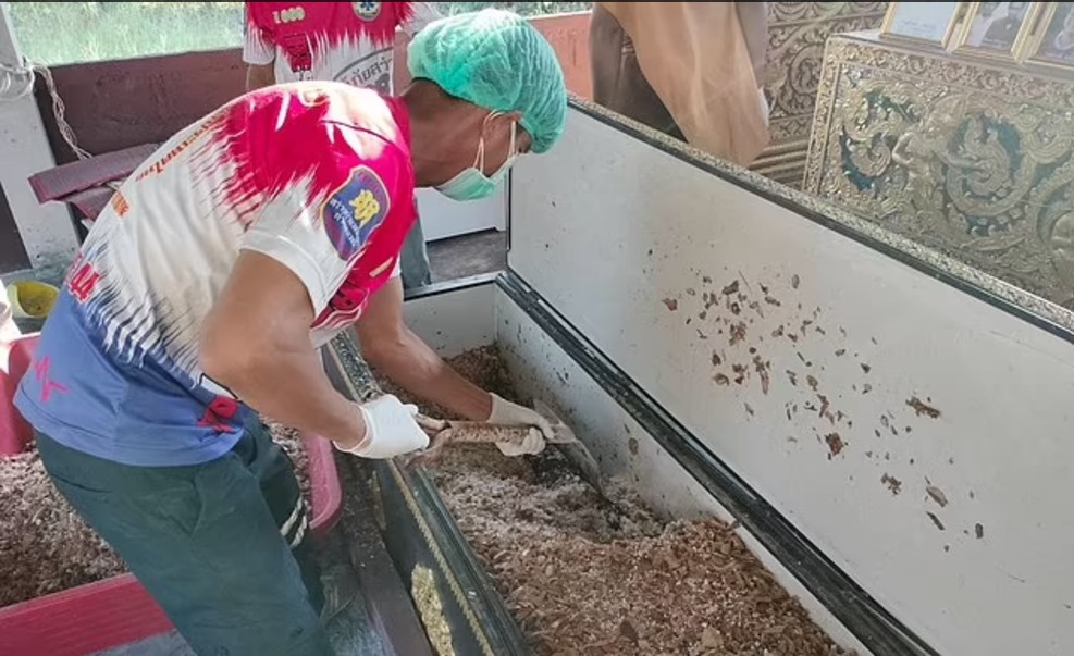 12 cadavre, găsite într-o pădure