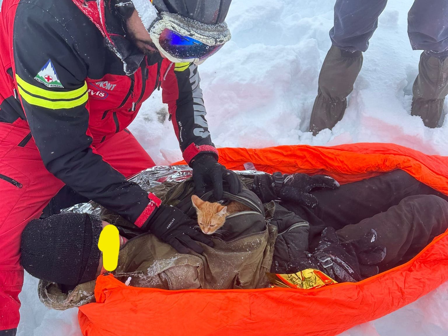 O pisică l-a ținut în viață pe un ucrainean în Munții Maramureșului