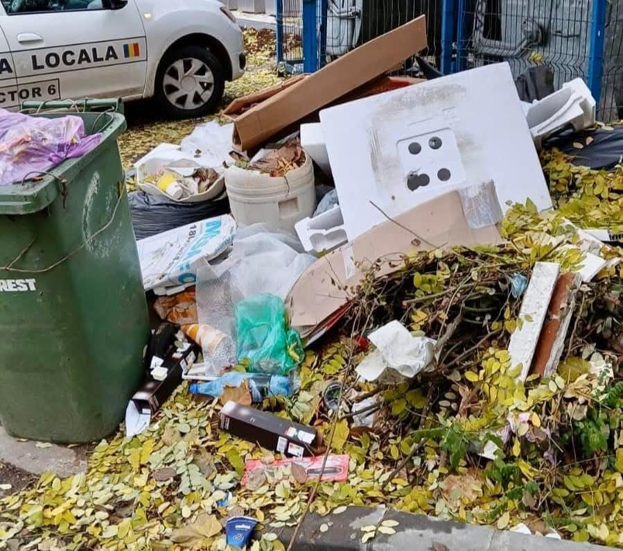 Amenzi de peste 1,44 de milioane de lei pentru gunoi aruncat pe stradă