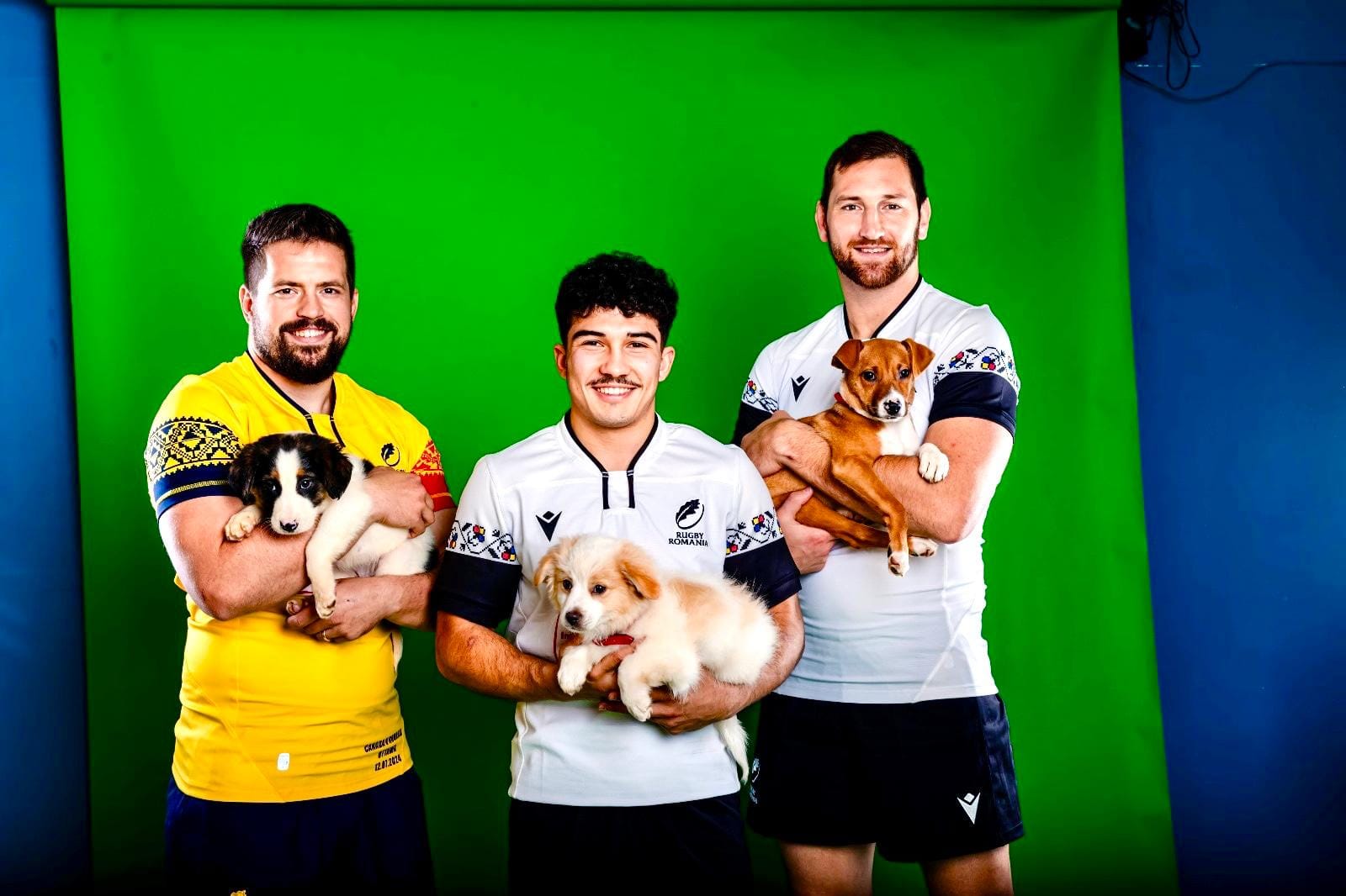 Gestul făcut de lotul național de rugby pentru câinii fără stăpân