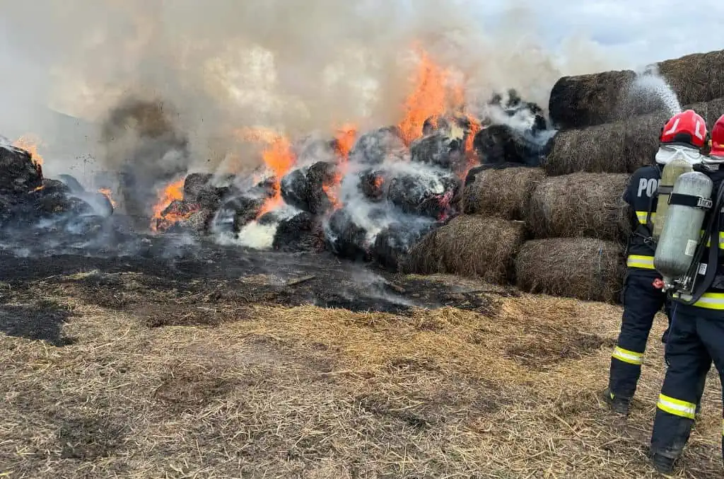 Incendiu în apropiere de castelul din Cetatea de Baltă