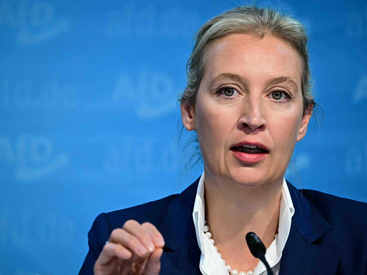 Interdicție pentru membrii AfD în Germania