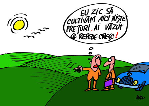 Strategie economică