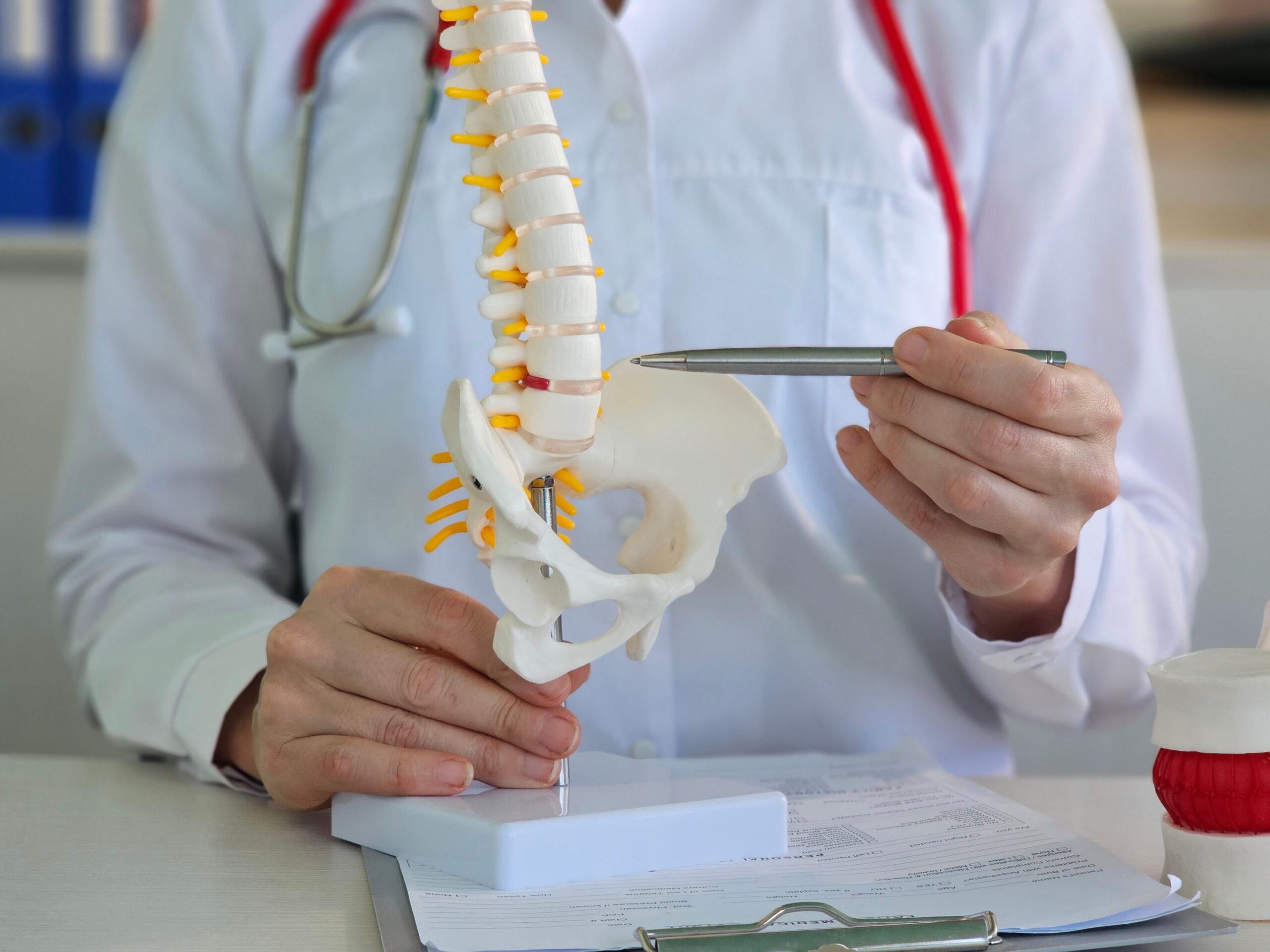 Deviații ale coloanei vertebrale: lordoza, cifoza și scolioza