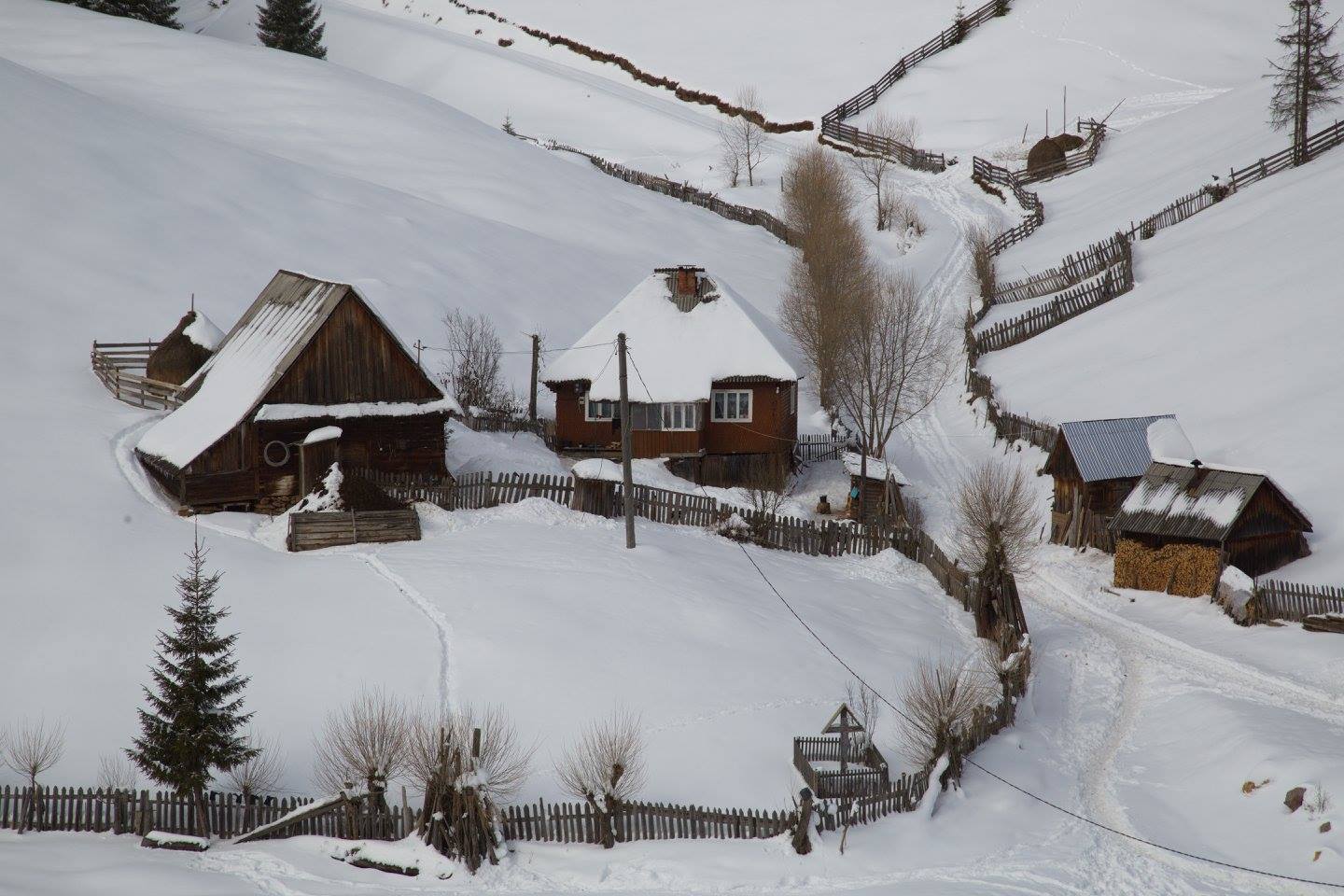 Ziua artei fotografice în România