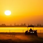 schimbări climatice, urgență sanitară, riscuri sănătate, Schimbările climatice ar trebui declarate urgență sanitară
