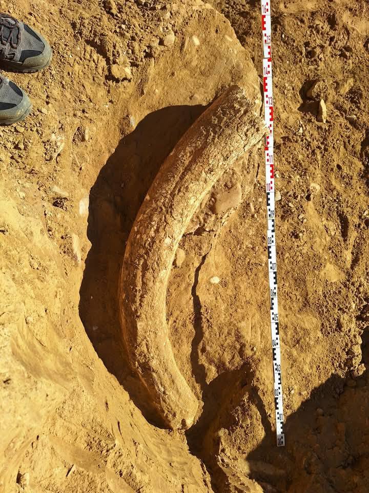 Descoperire arheologică importantă în Buzău